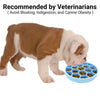 Mr. Peanut&#39;s Interactive Slow Feed Dog Bowl, Fun Healthy Bloat Stop Feeder (Medium)