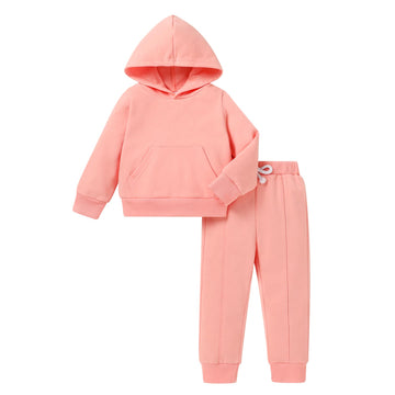 Baby Clothes for Girls Boy Solid Color Hoodie and Sweatpants Fall Winter Outfit Toddler Sweatsuit