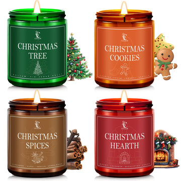 Christmas Candle Set, Christmas Scented Candles for Home, 4 Pack Winter Candles Soy Wax Candles, Christmas Gifts for Women Men, Christmas Fragrance of Christmas Tree/Spices/Cookies/Hearth