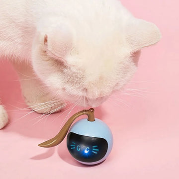 RovoToy - 360° Interactive Cat Toy